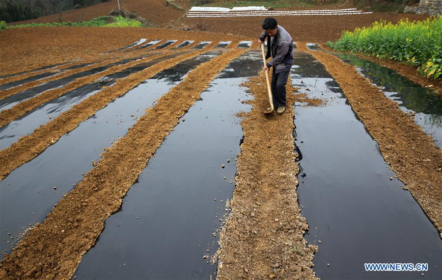 #CHINA-EARLY SPRING-FARMING (CN)