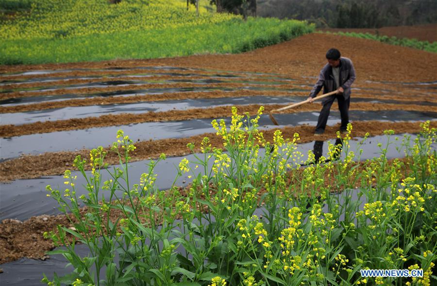 #CHINA-EARLY SPRING-FARMING (CN)