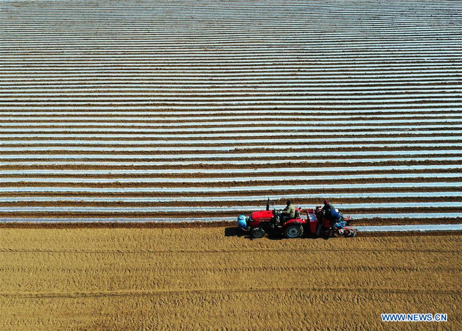 #CHINA-EARLY SPRING-FARMING (CN)