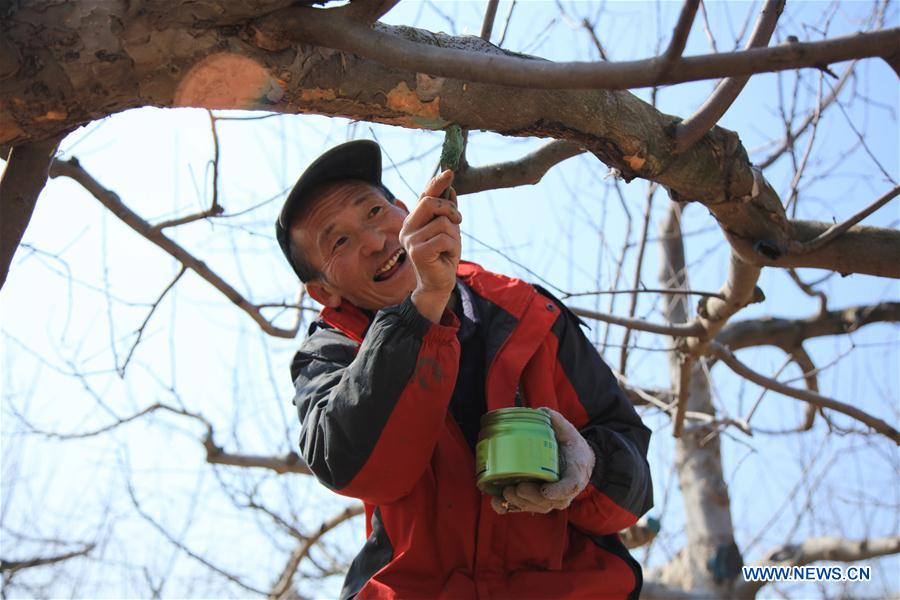 #CHINA-EARLY SPRING-FARMING (CN)