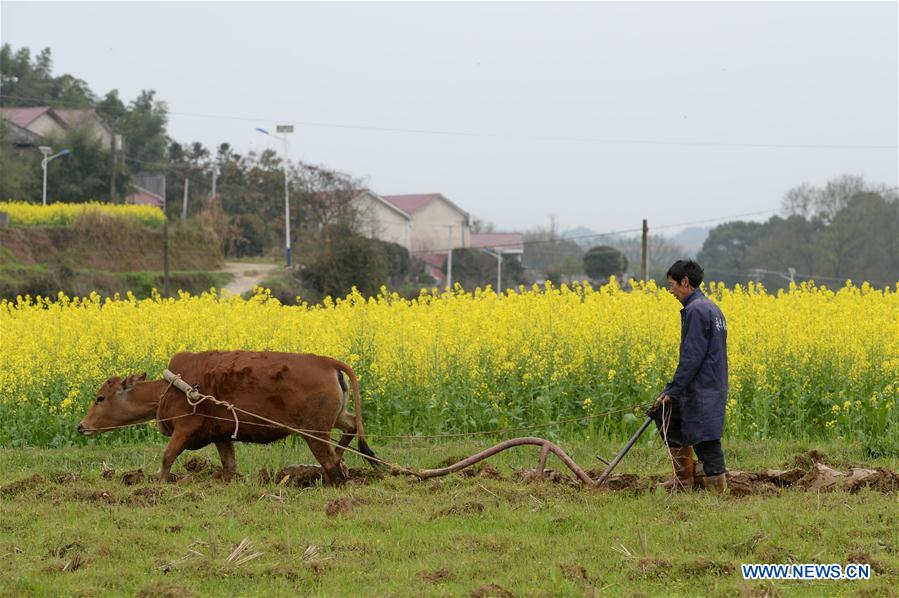 CHINA-HUNAN-FARMING (CN)