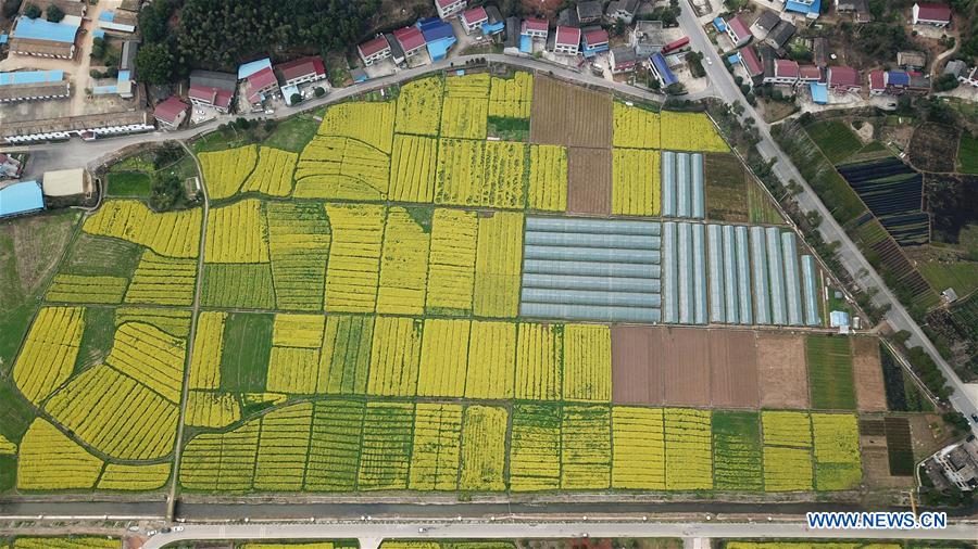CHINA-HUNAN-FARMING (CN)