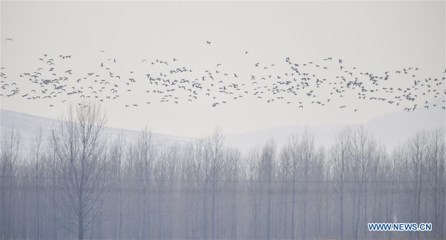 XINHUA PHOTOS OF THE DAY