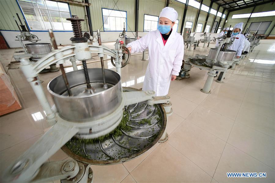 CHINA-GUIZHOU-DANZHAI COUNTY-TEA PRODUCTION-POVERTY ALLEVIATION (CN)