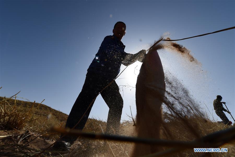 CHINA-GANSU-GULANG-DESERT-AFFORESTATION (CN)