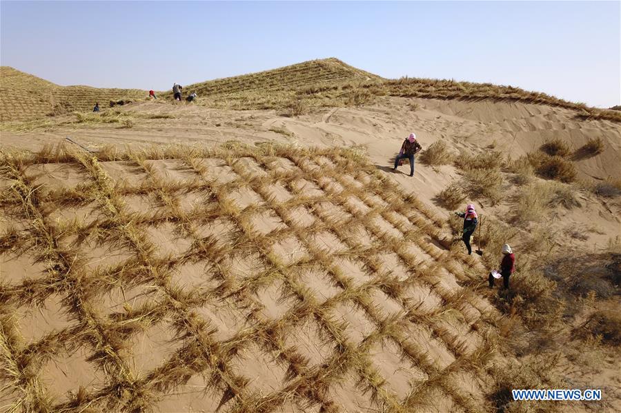 CHINA-GANSU-GULANG-DESERT-AFFORESTATION (CN)
