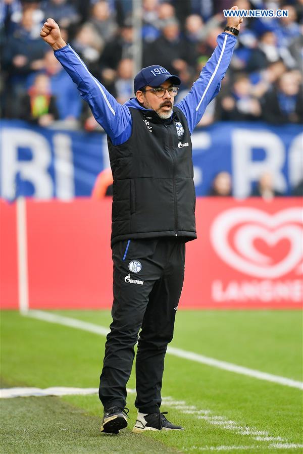 (SP)GERMANY-GELSENKIRCHEN-FOOTBALL-BUNDESLIGA-SCHALKE 04 VS HOFFENHEIM