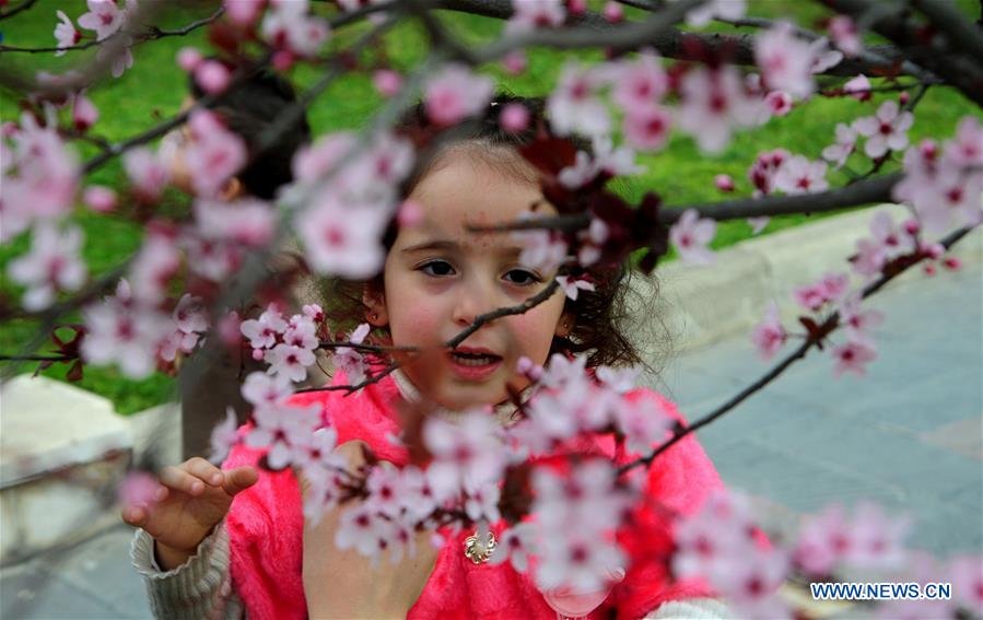People enjoy flowers in Damascus, Syria Xinhua English.news.cn