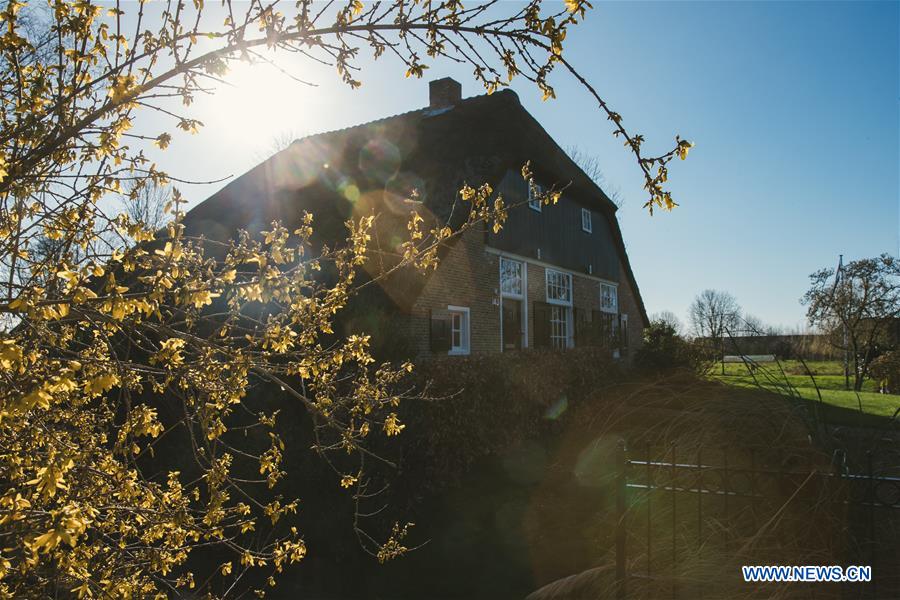 THE NETHERLANDS-GIETHOORN-LANDSCAPE-SPRING