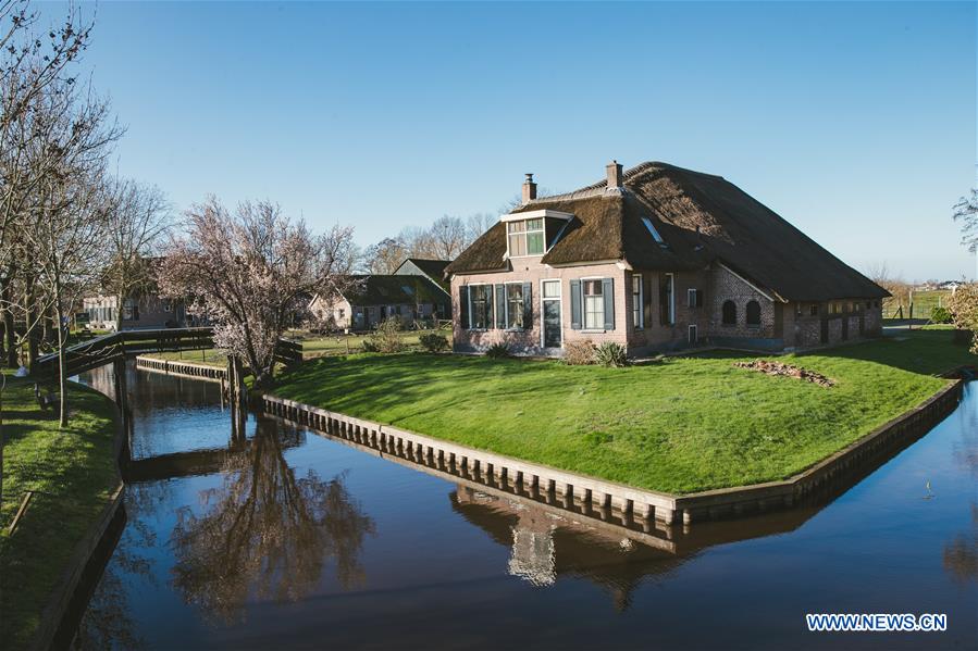 THE NETHERLANDS-GIETHOORN-LANDSCAPE-SPRING