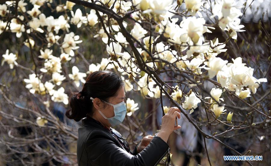 CHINA-XI'AN-SPRING-FLOWERS (CN)