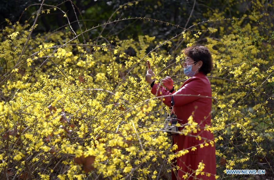 CHINA-XI'AN-SPRING-FLOWERS (CN)