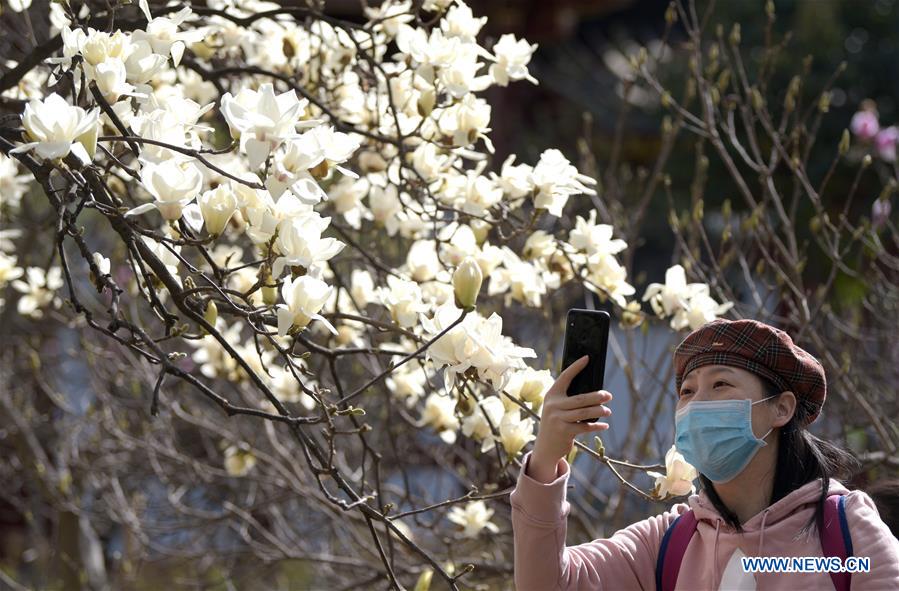 CHINA-XI'AN-SPRING-FLOWERS (CN)