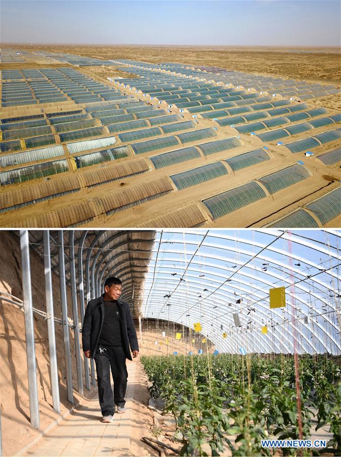 (FOCUS)CHINA-GANSU-GULANG-POVERTY RELIEF (CN)