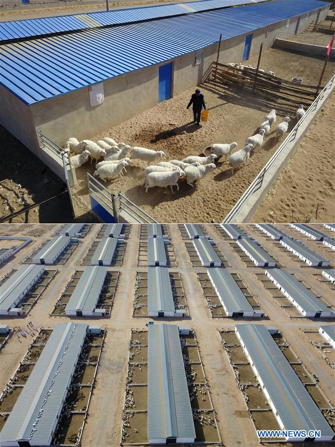 (FOCUS)CHINA-GANSU-GULANG-POVERTY RELIEF (CN)