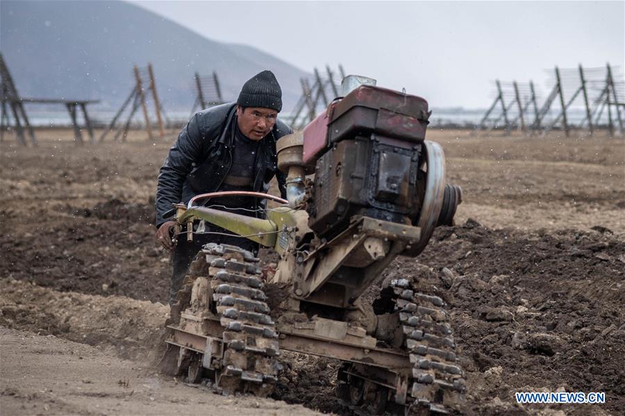 CHINA-YUNNAN-SHANGRI-LA-FARMING (CN)