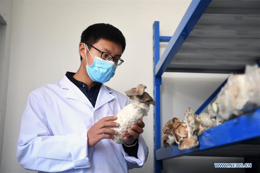 CHINA-CHONGQING-POVERTY ALLEVIATION-RELOCATION-NEW LIFE (CN)