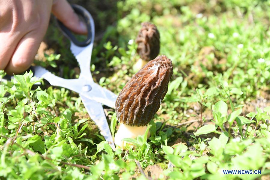 CHINA-CHONGQING-POVERTY ALLEVIATION-RELOCATION-NEW LIFE (CN)