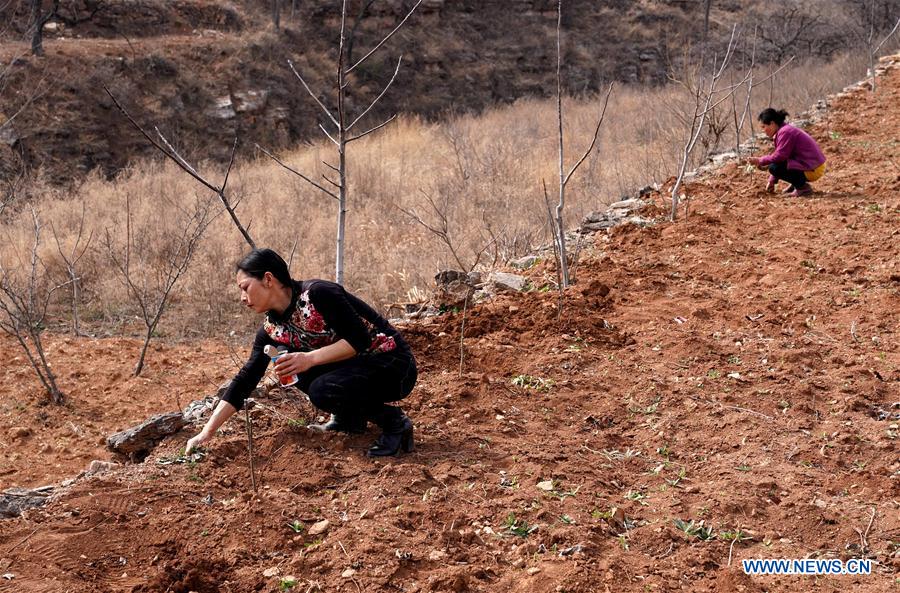 CHINA-HENAN-POVERTY ALLEVIATION (CN)