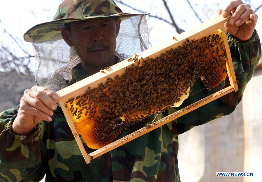 CHINA-HENAN-POVERTY ALLEVIATION (CN)