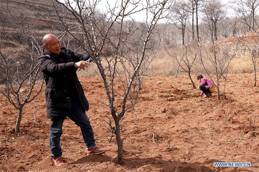 CHINA-HENAN-POVERTY ALLEVIATION (CN)