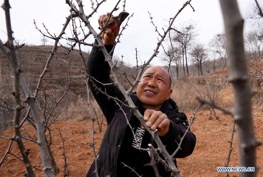 CHINA-HENAN-POVERTY ALLEVIATION (CN)