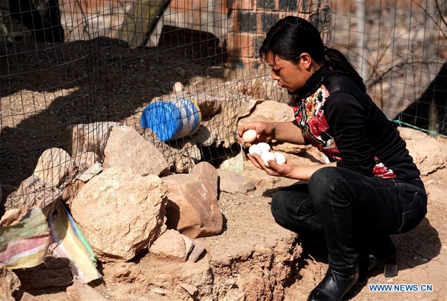 CHINA-HENAN-POVERTY ALLEVIATION (CN)