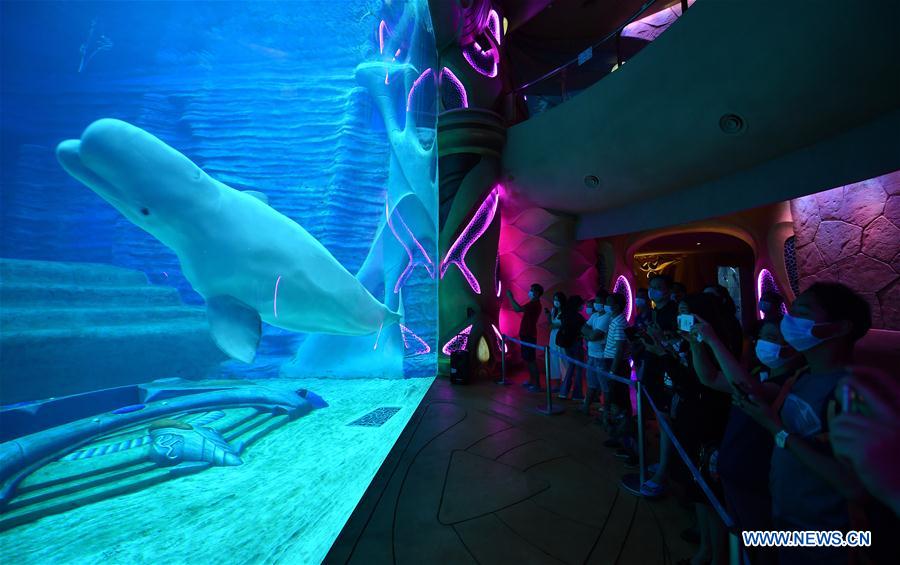 CHINA-HAINAN-SANYA-SPRING-TOURISM (CN)