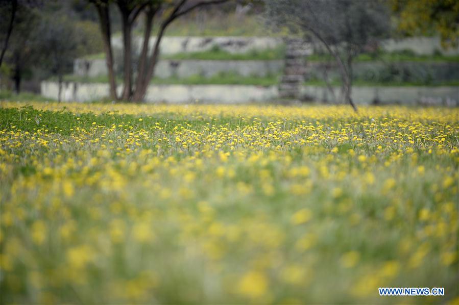 PAKISTAN-ISLAMABAD-SPRING