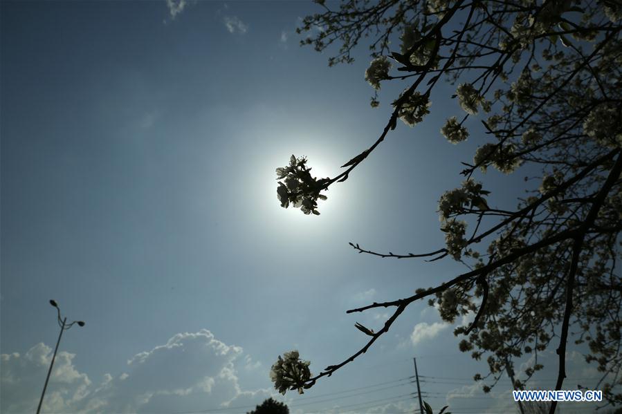 PAKISTAN-ISLAMABAD-SPRING