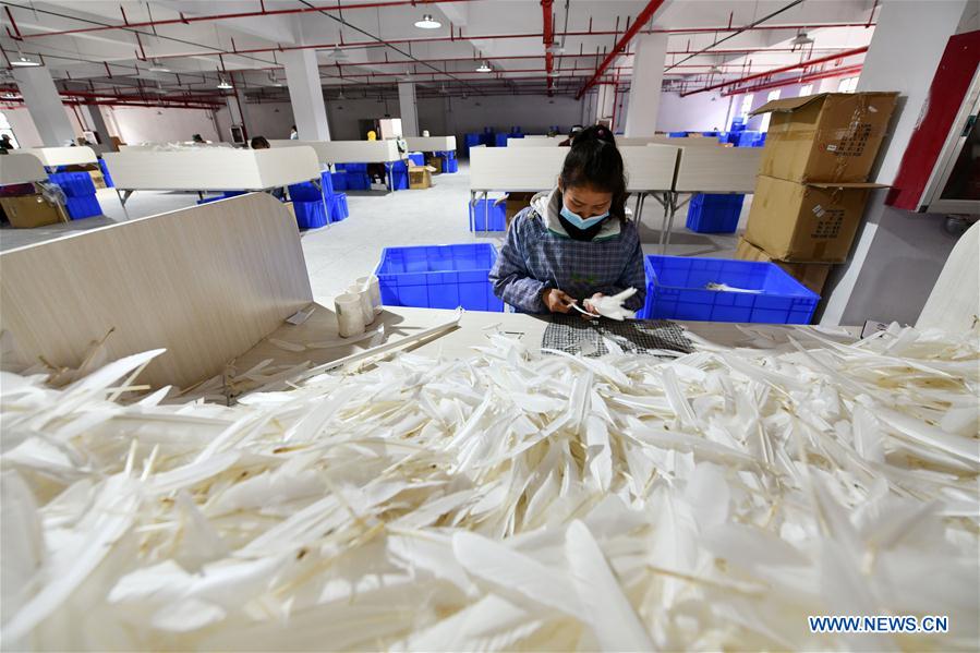 CHINA-GUIZHOU-JINPING-PRODUCTION RESUMPTION (CN)