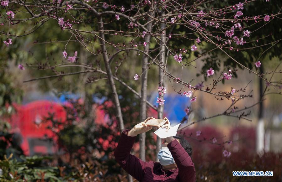 CHINA-WUHAN-COVID-19-SPRING-SCENERY (CN)