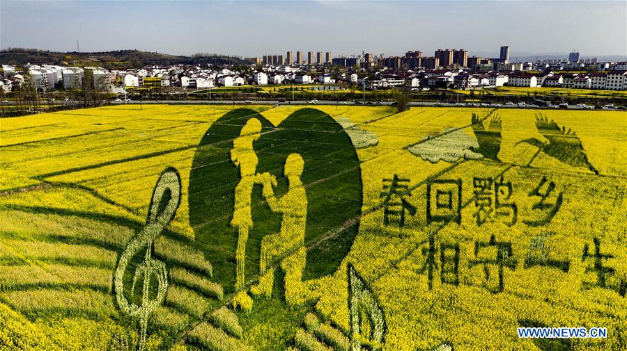 CHINA-SHAANXI-YANGXIAN-RAPE FLOWERS (CN)