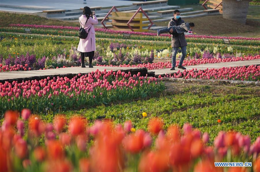 CHINA-JIANGSU-NANJING-SPRING (CN)