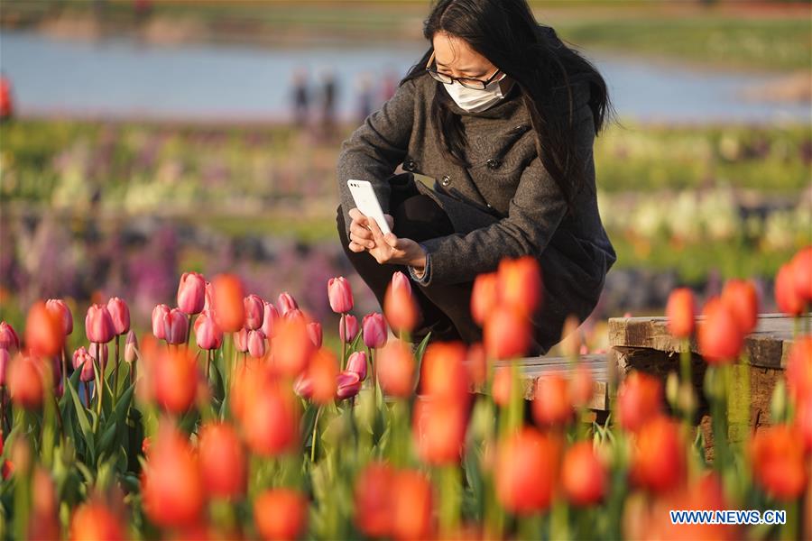 CHINA-JIANGSU-NANJING-SPRING (CN)