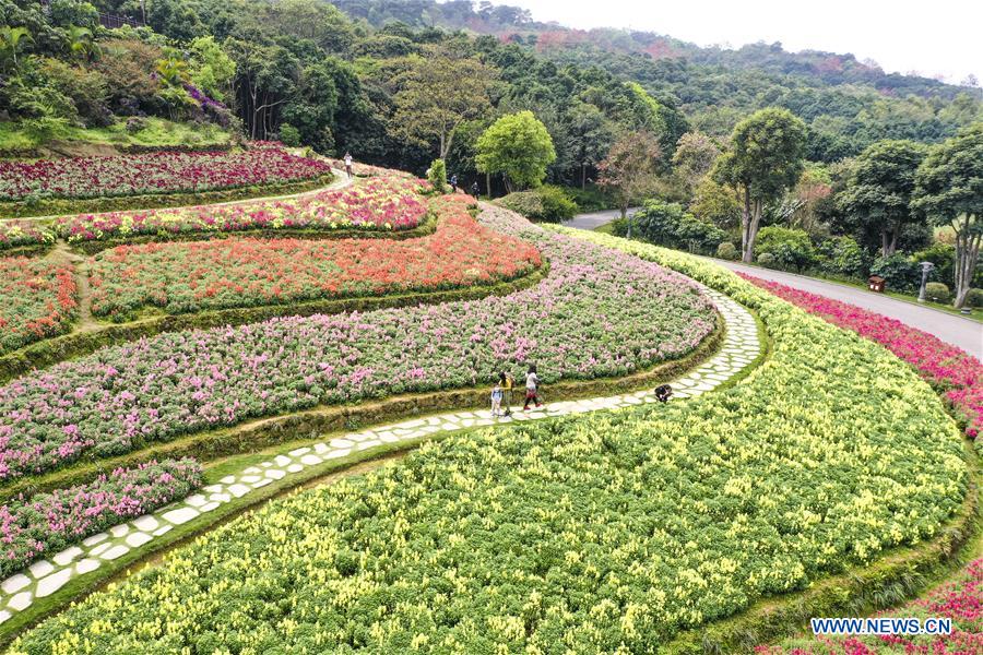 CHINA-GUANGXI-NANNING-SPRING SCENERY (CN)