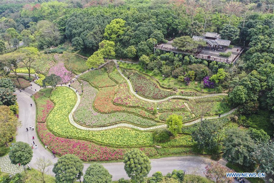 CHINA-GUANGXI-NANNING-SPRING SCENERY (CN)