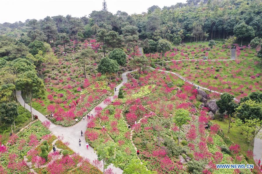 CHINA-GUANGXI-NANNING-SPRING SCENERY (CN)
