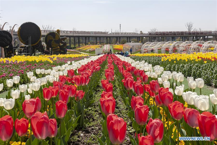 CHINA-SHANGHAI-SPRING (CN)