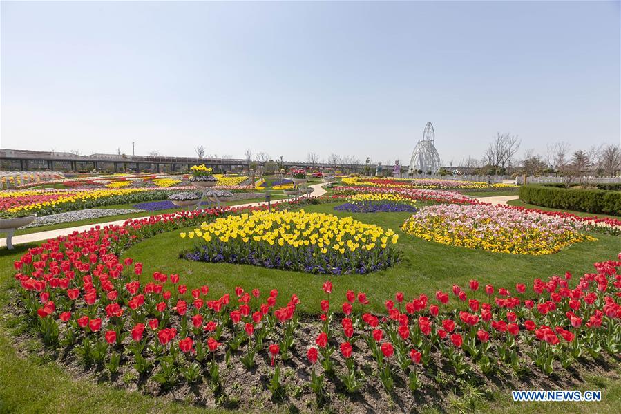 CHINA-SHANGHAI-SPRING (CN)