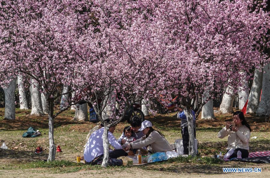 CHINA-JIANGSU-NANJING-SPRING-DAILY LIFE (CN)