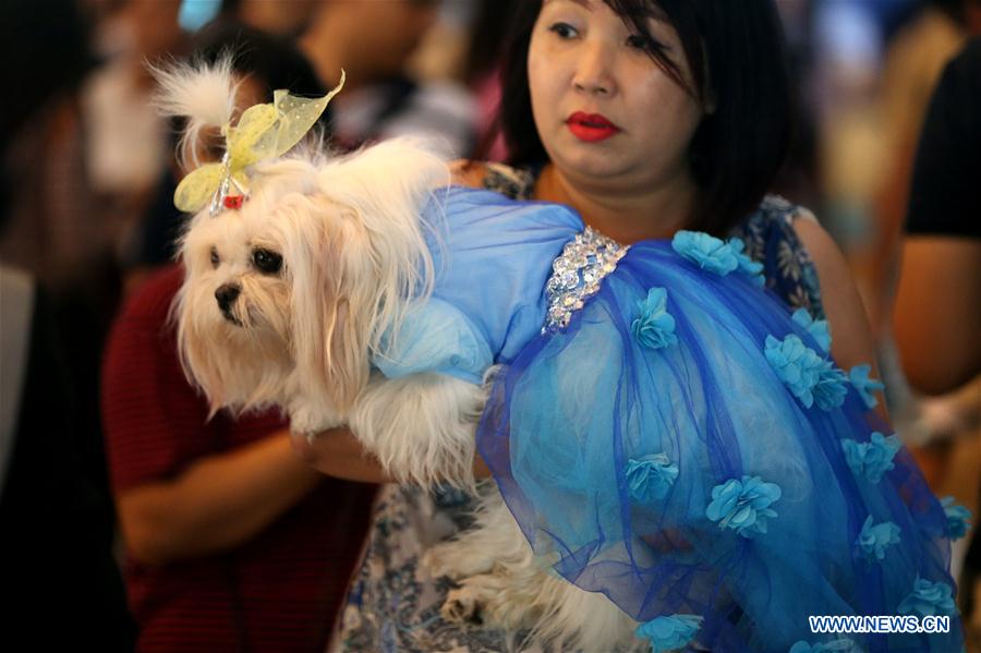 MYANMAR-YANGON-DOG SHOW
