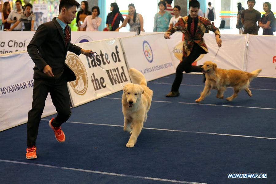 MYANMAR-YANGON-DOG SHOW