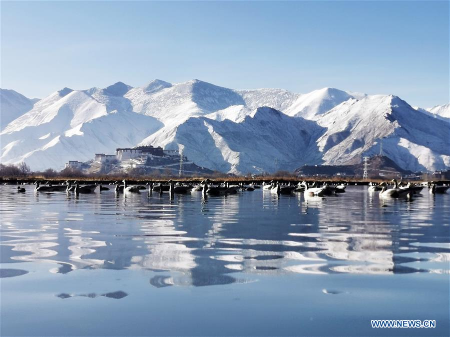 CHINA-TIBET-LHASA-SNOW SCENERY (CN)