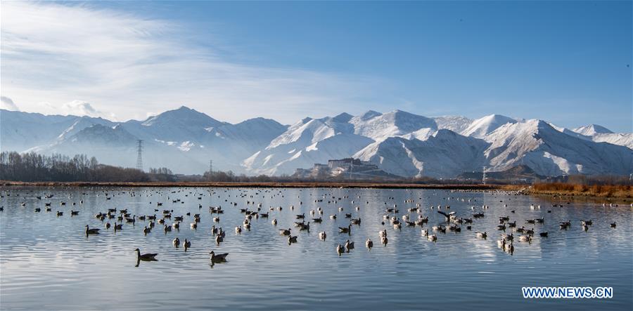 CHINA-TIBET-LHASA-SNOW SCENERY (CN)