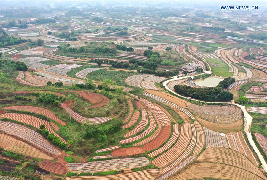 CHINA-GUANGXI-NANNING-SPRING SCENERY (CN)