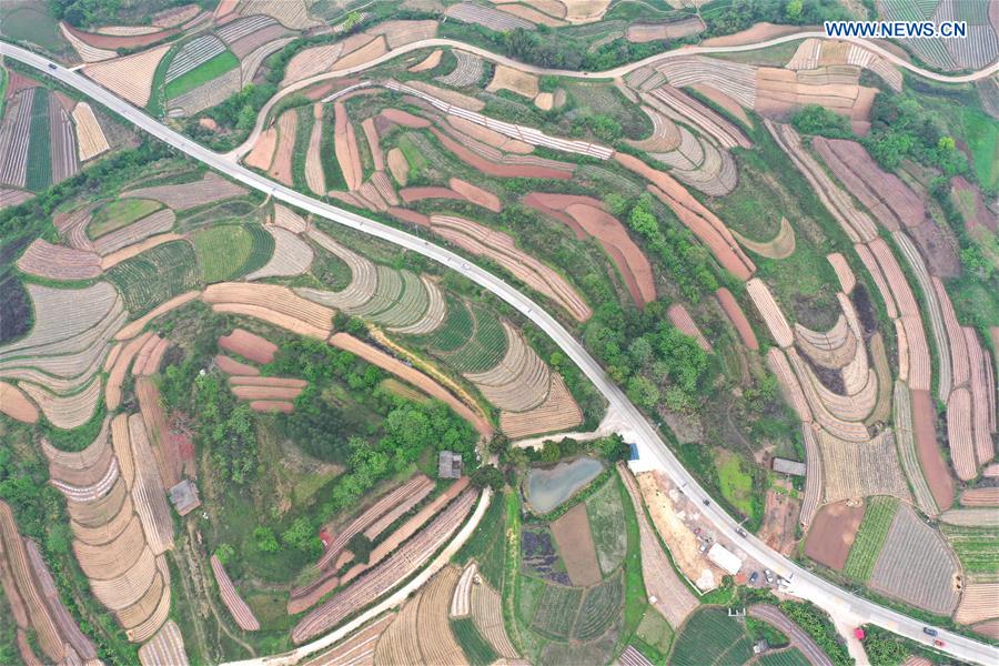 CHINA-GUANGXI-NANNING-SPRING SCENERY (CN)