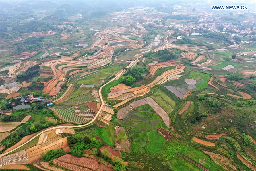 CHINA-GUANGXI-NANNING-SPRING SCENERY (CN)
