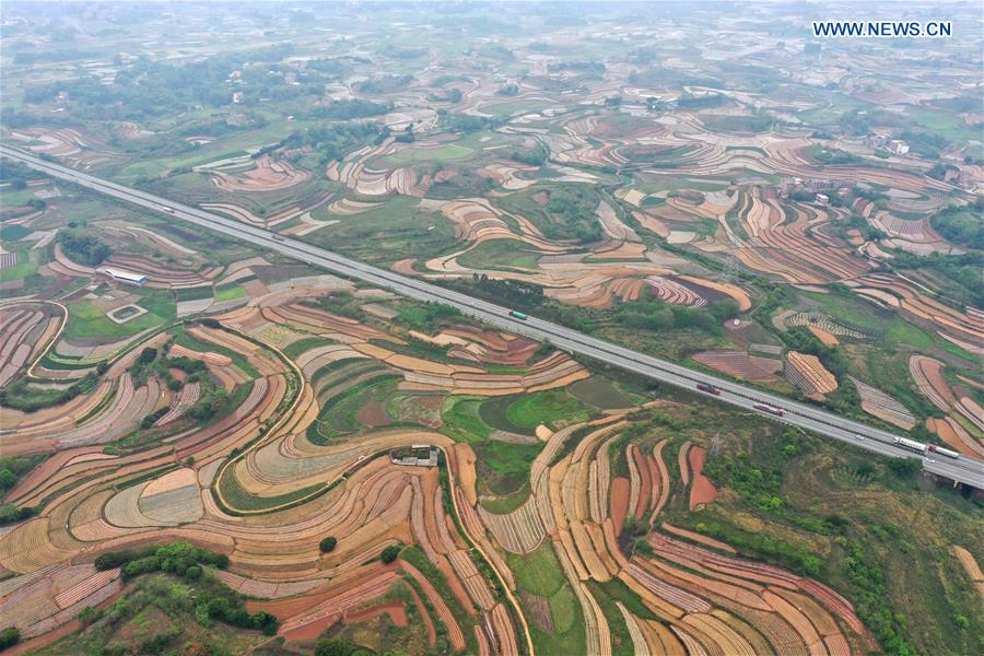 CHINA-GUANGXI-NANNING-SPRING SCENERY (CN)