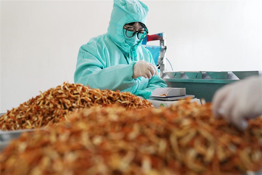 CHINA-HARBIN-COVID-19-TCM-PRODUCTION (CN)